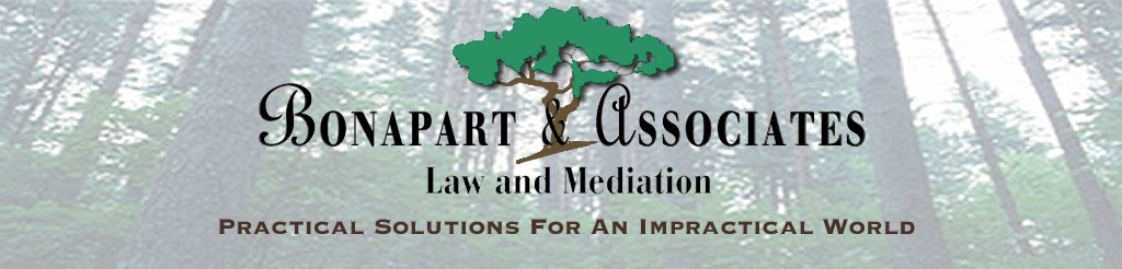Bonapart & Associates Law and Mediation: Practical Solutions for an Impractical World